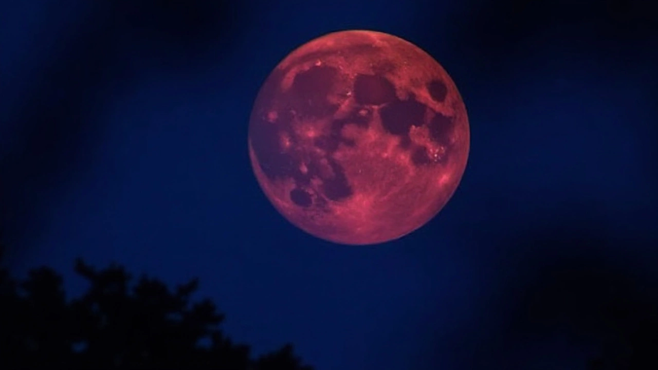 Catch the Mesmerizing 'Blood Moon' Lunar Eclipse Tonight: No Telescope Required